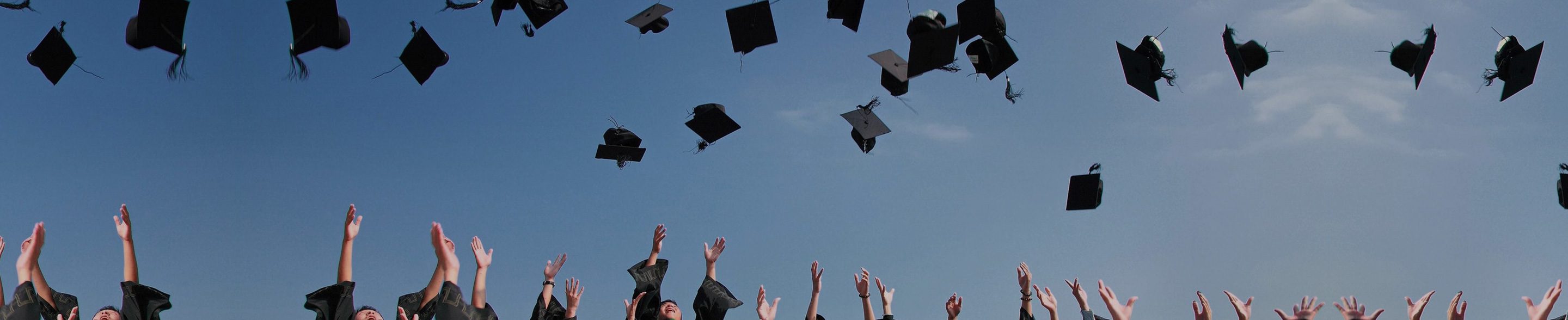 banner2